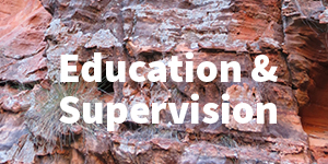 RVTS education and supervision